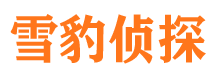 麻章寻人公司